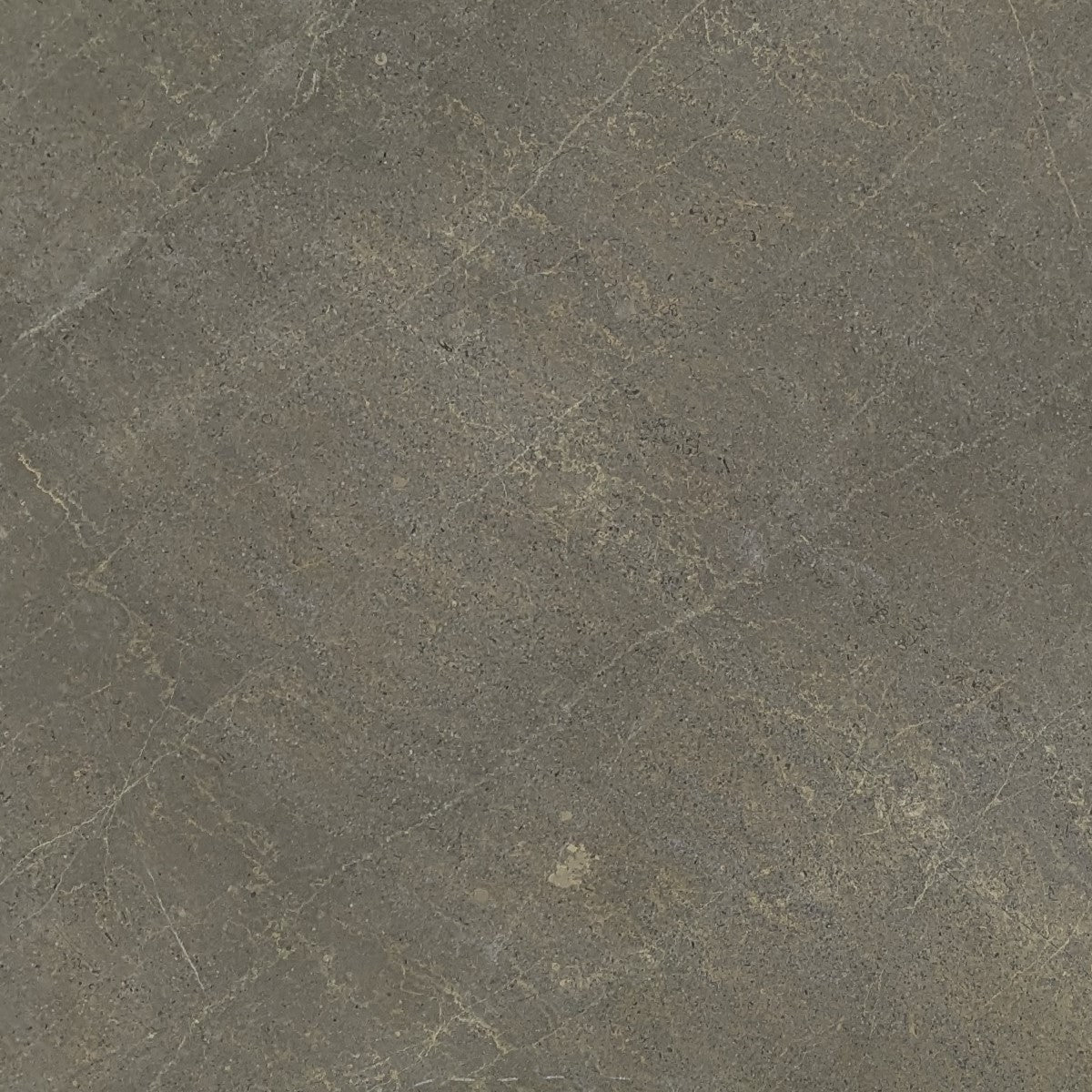 Elvira Limestone Slab