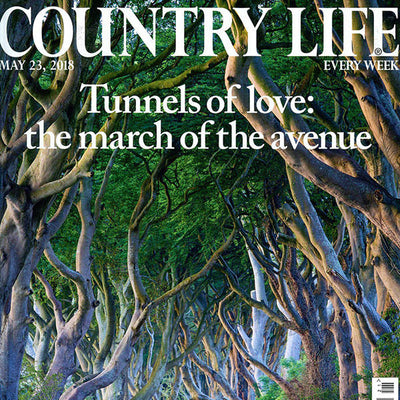 Country Life 23 May 2018 – Carrara Refectory Table