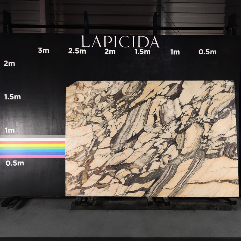 Breccia Viola - Marble Slab - 00042