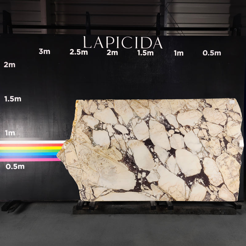 Calacatta Viola - Marble Slab - 00009