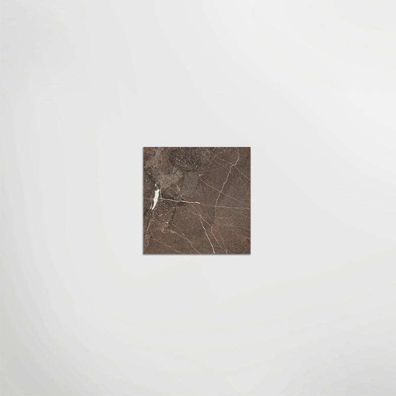 Small Brown Marble Look Porcelain Floor Or Wall Tiles