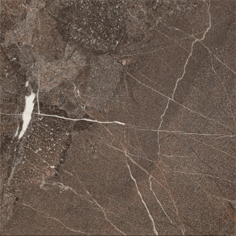 Small Brown Marble Look Porcelain Floor Or Wall Tiles