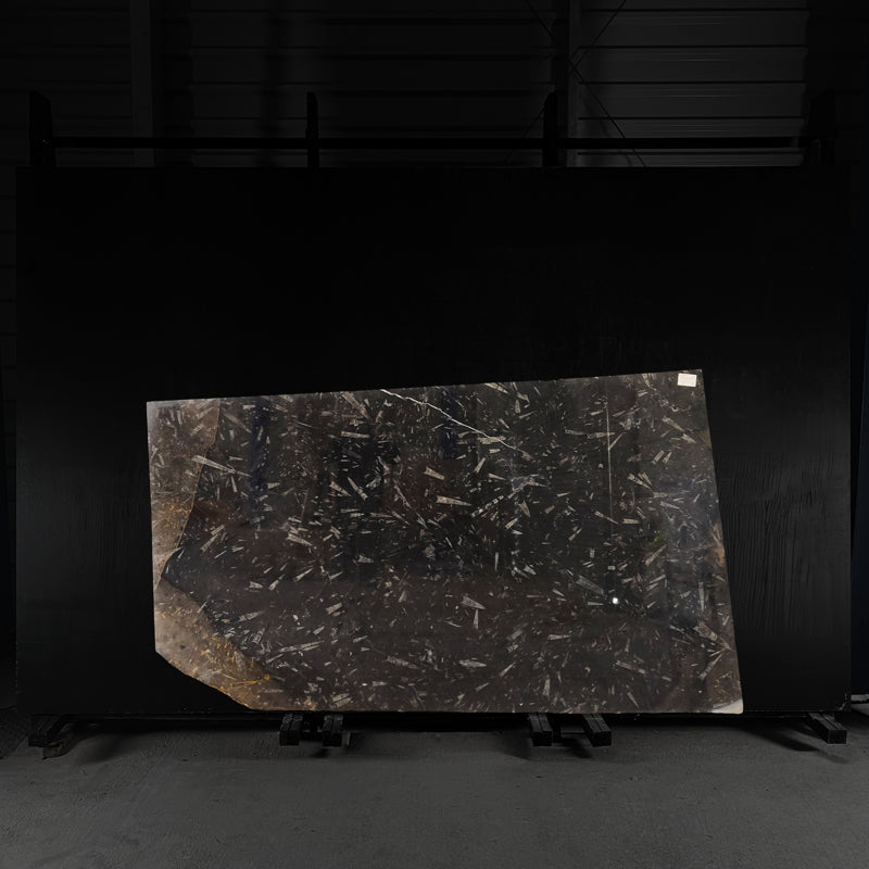 Grand Fossil - Marble Slab - 00055
