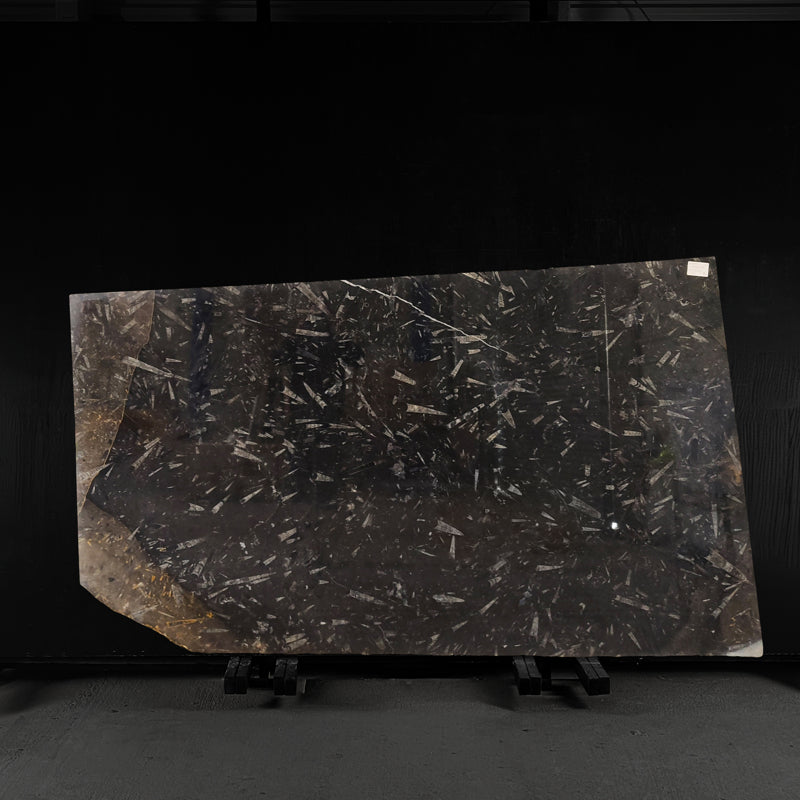 Grand Fossil - Marble Slab - 00055