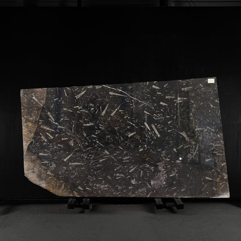 Grand Fossil - Marble Slab - 00055