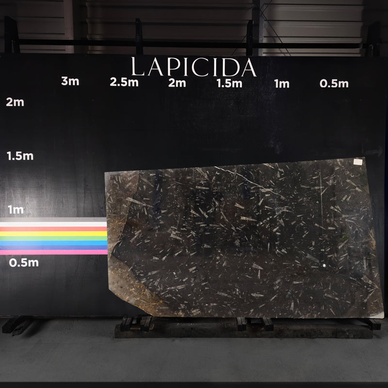Grand Fossil - Marble Slab - 00055