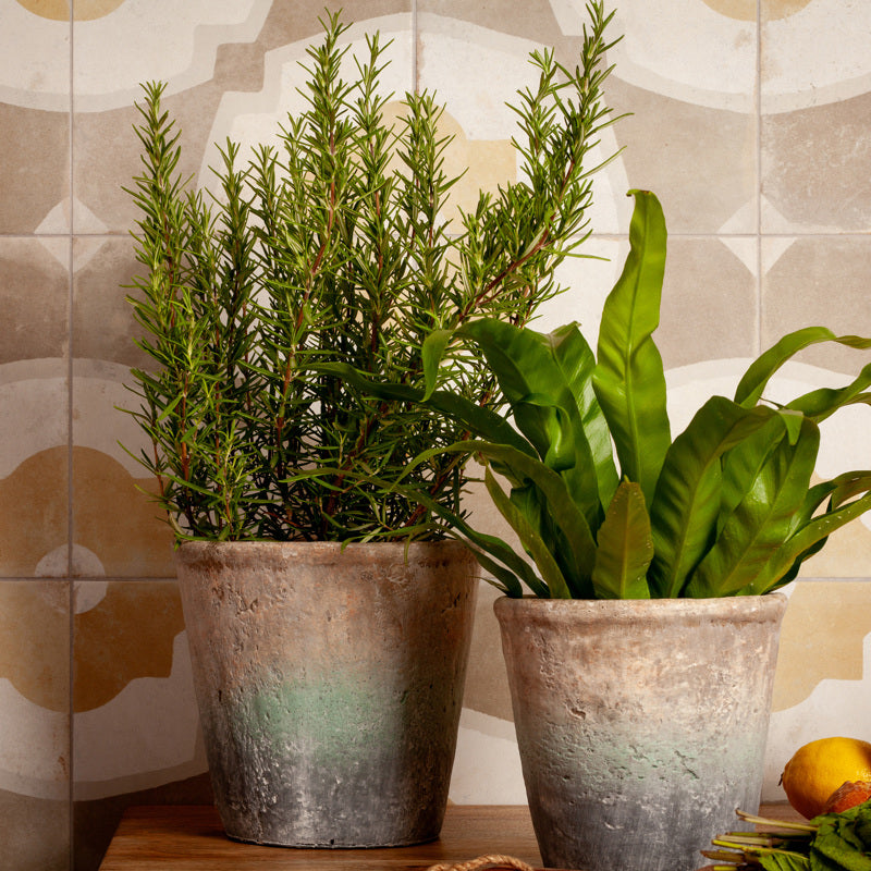 Beige & White 4 Into 1 Mediterranean Look Porcelain Tiles