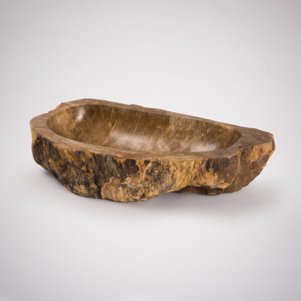Petrified Wood Bowl from Lapicida