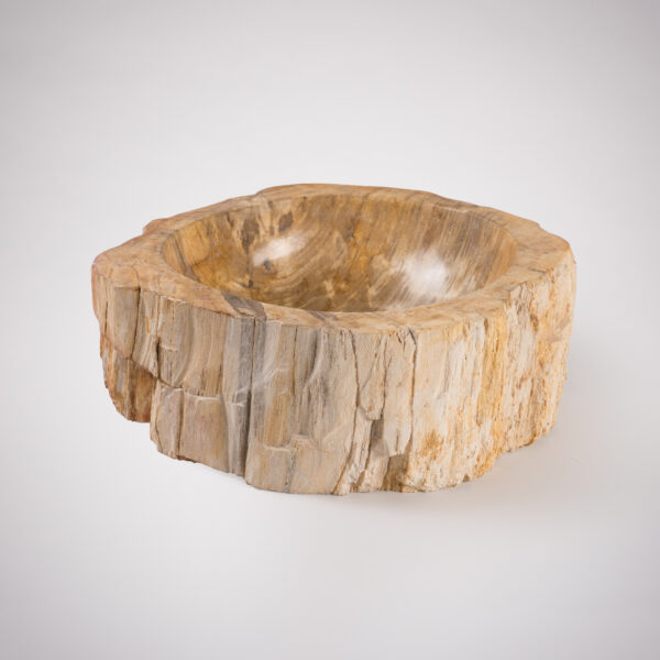 Petrified Wood Bowl from Lapicida