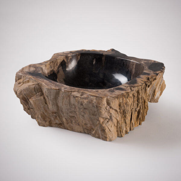 Petrified Wood Basin from Lapicida