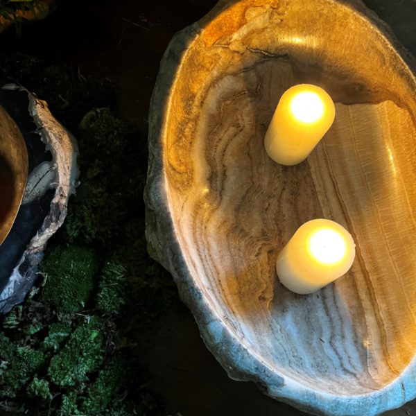 Lapicida - Petrified Wood Bowls
