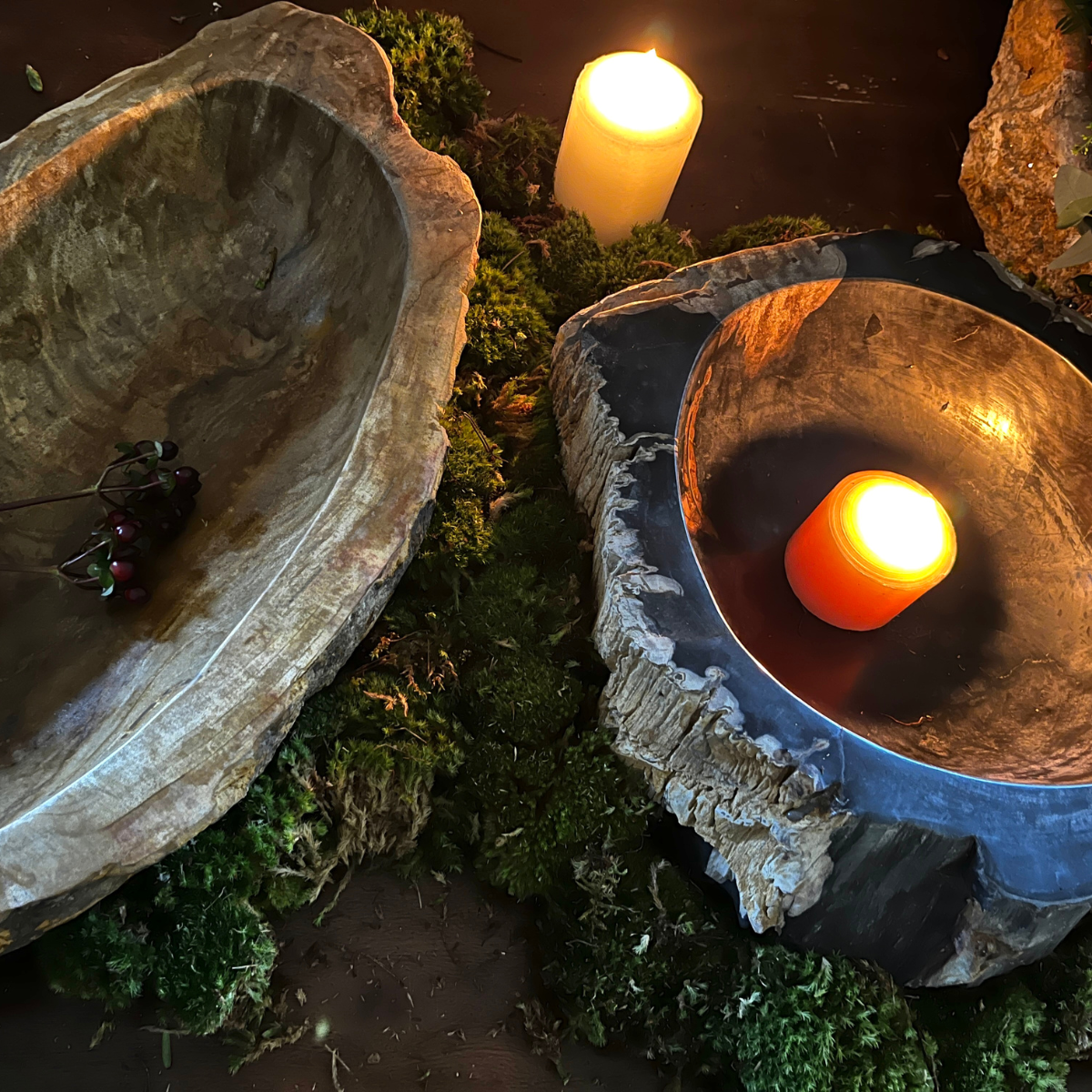 Lapicida - Petrified Wood Bowls