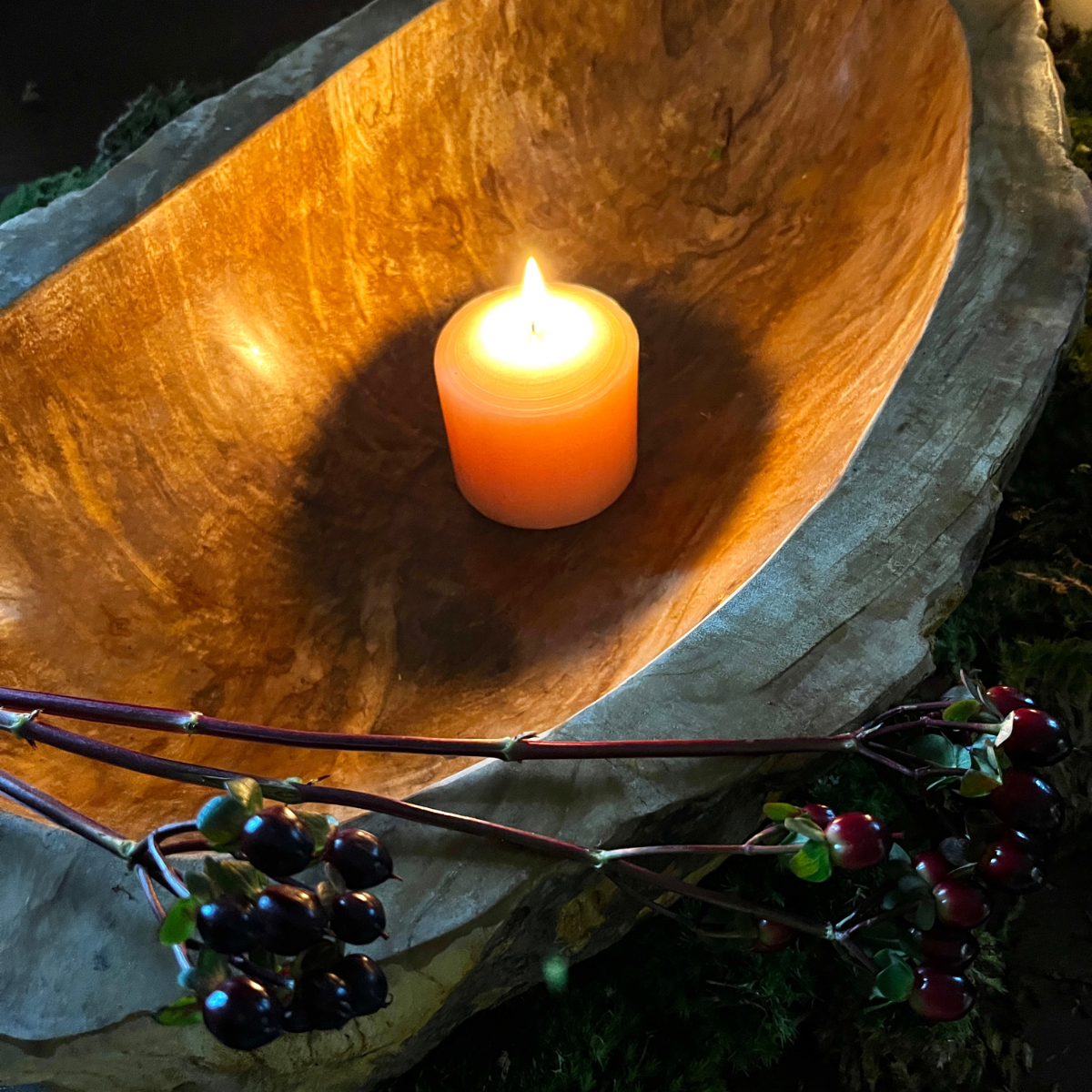 Lapicida - Petrified Wood Bowls