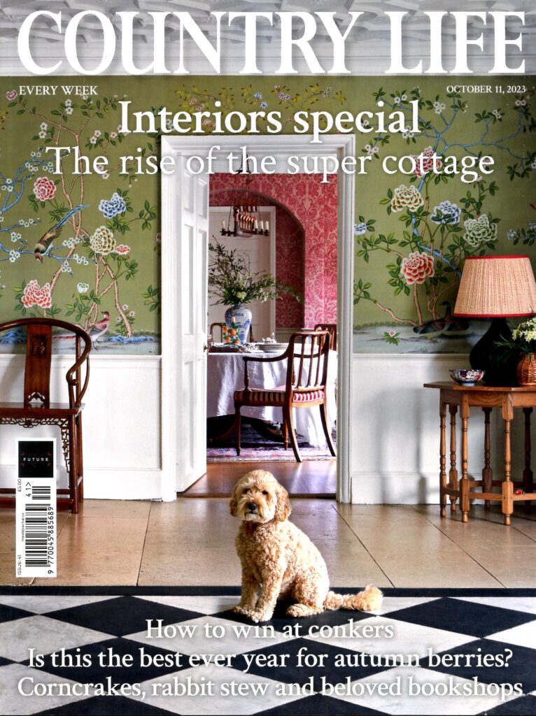 Lapicida in Country Life 11 October 2023